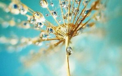 Feldolgozatlan fájdalom.