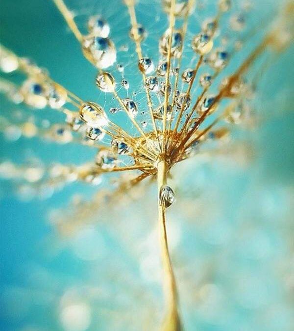 Feldolgozatlan fájdalom.