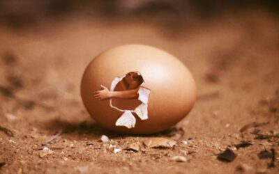 Lassíts, állj meg, néz körbe