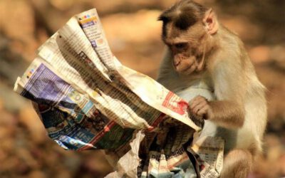 Generációkon keresztül hozott negatív hiedelmek és programok.