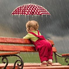 Hozott csomag, család, amit fogva tart